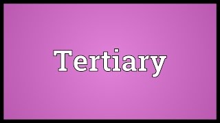 Tertiary Meaning [upl. by Malsi]