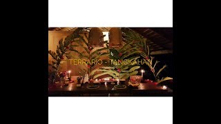 Terrario Tangkahan  Romantic Private Breaks [upl. by Chinua]