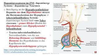 Autonomes Nervensystem 17 Dopamin und Dobutamin Pharmakologie Schizophrenie und M Parkinson [upl. by Leahci]