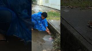 That Can Prevent Have Flood Rain On Street Road unclog drain remove shorts [upl. by Dnalyaw]