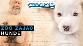 ZOO ZAJAC – HUNDE [upl. by Lust]