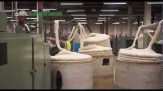 Sheep Shearing🐏Workers process of trimming the sheeps woolcleanning the sheep Short p66 [upl. by Odyssey]