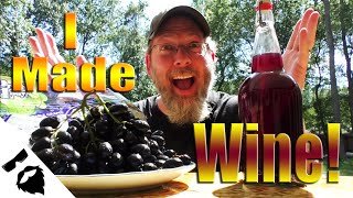 🍷Can you make GOOD WINE from GROCERY STORE GRAPES🍇  BONUS RECIPE [upl. by Kappenne579]