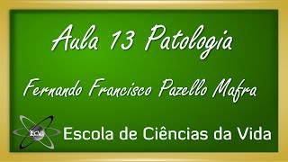 Patologia Aula 13  Mecanismos das lesões  Perda da homeostase do cálcio [upl. by Richarda]