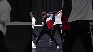 Black Swan Dance Practice BTS 정국 JUNGKOOK Focus [upl. by Leinahtam778]