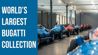 The biggest Bugatti collection in the world in France [upl. by Dene641]