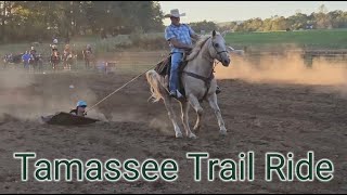 Tamassee Trail Ride [upl. by Anhpad]