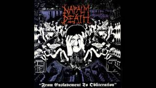 Napalm Death  Lucid Fairytale Official Audio [upl. by Tumer]