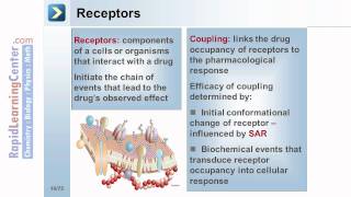 Rapid Learning Pharmacology  What is Pharmacodynamics [upl. by Lasonde782]