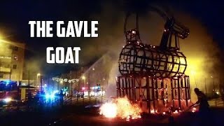 The Gävle Goat  THE OFFICIAL HISTORY  HD FOOTAGE [upl. by Eveneg]