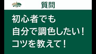 【塗料・塗装QampA】初心者でも自分で調色したい！コツを教えて！ [upl. by Alatea]