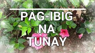 PAGIBIG NA TUNAY in the tune of PERHAPS LOVE   Camp John Hay Baguio City [upl. by Llemij]