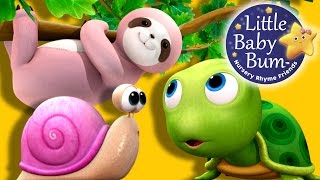 Things That Go Slow  Nursery Rhymes for Babies by LittleBabyBum  ABCs and 123s [upl. by Ellessig273]