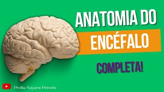 Anatomia do Encéfalo  estruturas e funções [upl. by Bomke13]