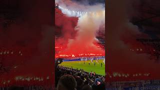 🔥 LE TIFO INCROYABLE POUR MARSEILLE LILLE OM LOSC om football marseille shorts ligue1 [upl. by Anitac]