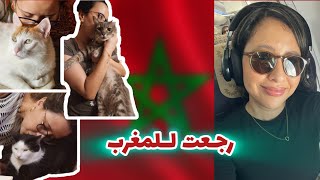 رجعت للمغرب او درت Petscan  ماقادراش نبعد على بلادي 🇲🇦 اكثر… [upl. by Genia902]