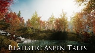 TES V  Skyrim Mods Realistic Aspen Trees [upl. by Yrallam]