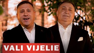 Vali Vijelie amp Cornel Cojocaru  Cu viata mea la o cafea OFFICIAL VIDEO 2024 [upl. by Ilenay632]