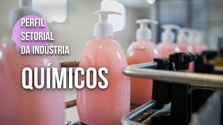 Conheça o setor de produtos químicos  2024 [upl. by Inavoig]