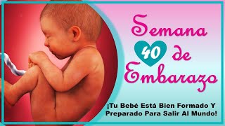 ❤️ SEMANA 40 DE EMBARAZO Y MI BEBE NO NACE🤰 ❤️ ⏩ EMBARAZO SEMANA A SEMANA ⏩ NOVENO MES [upl. by Isolde826]