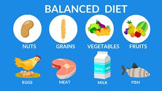 Balanced Diet  Best food for health [upl. by Bremser]