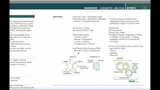 Что такое хроматин Синтез пуринов и пиримидинов LeschNyhan syndrome and ADA deficiency [upl. by Ebenezer]