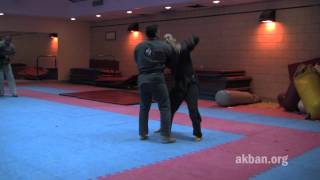 Shio dori Kukishin ryu Dakentaijutsu  Ninjutsu technique for Akban wiki [upl. by Jobi]