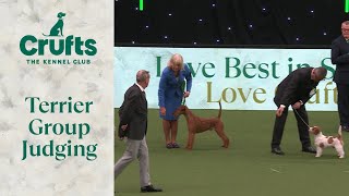 Terrier Group Judging  Crufts 2024 [upl. by Ianthe]