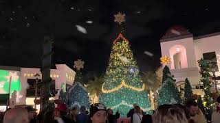 Shops at Wiregrass 2024 Symphony of Lights [upl. by Ely]