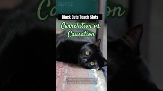 Darkness the Cat explains Correlation vs Causation catshorts statisfying facts blackcats [upl. by Alcus]