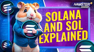 How Solana Works A Beginner’s Guide 🚀⚡️ Hamster Academy [upl. by Anastasius845]