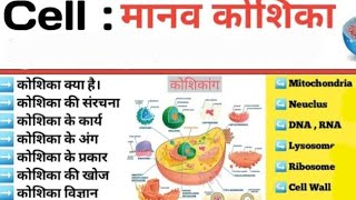 Cell  structure of cell  cell organelles  Human cell मानव कोशिका [upl. by Eceinahs704]