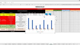 PLANTILLA MESOCICLO  PROGRAMANDO FÓRMULAS DE LA CARGA DE ENTRENAMIENTO Y SUS GRÁFICOS [upl. by Weylin]