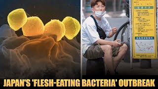 Japans Flesh Eating Bacteria Outbreak thestorybehind [upl. by Hinkel]