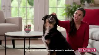 How to Apply K9 Advantix II to your dogs [upl. by Codee]