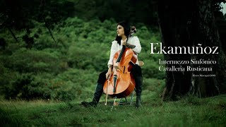 Ekamuñoz  Intermezzo de sinfónico violoncello [upl. by Ganiats945]