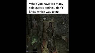 Elder Scrolls V Skyrim  Side Quests Funny Short  Happy 13th Anniversary [upl. by Meara]