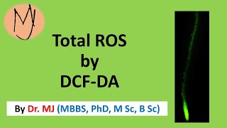 Fluorescein diacetate DCFDA staining ROS Arabidopsis stress roots research DoctorTutors [upl. by Teplitz926]