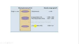 electroforesis lipoproteínas bioquímica [upl. by Gusta659]