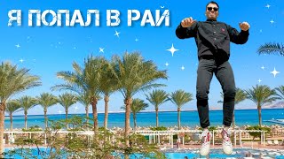 Египет 2024 ШармэльШейх  Jaz Belvedere [upl. by Amsirahc334]