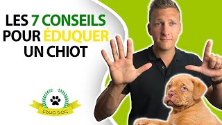 ✅ Education du chiot  7 conseils pour éduquer votre chiot [upl. by Ahsinauq]