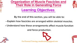 Muscle Fascicle Patterns Explained How They Influence Force Generation [upl. by Stewart]