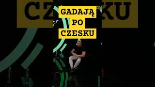 ZAŁĘCKI vs LABRYGRA  LEGENDARNA KŁÓTNIA  WERSJA CZESKA shorts famemma załęcki labryga [upl. by Cirred]