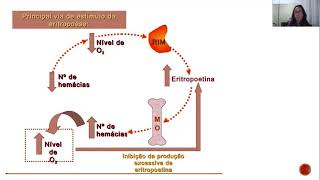 Pensando em Hematologia alterações eritrocitárias [upl. by Kruter]