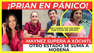 ¡ENTRAN EN PÁNICO LES PAGAN HASTA ¡UN MILLÓN OBLIGAN AL INE A CAMBIAR SUS COLORES [upl. by Manheim]