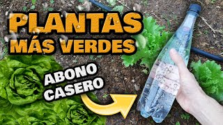 INCREIBLE ABONO CASERO para Plantas con AGUA CON GAS  Fertilizante Casero Natural para Plantas [upl. by Dwane]