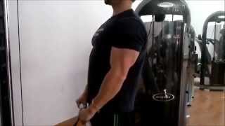 Curl en polea baja con agarre inverso  ejercicios de biceps y antebrazo [upl. by Millham]