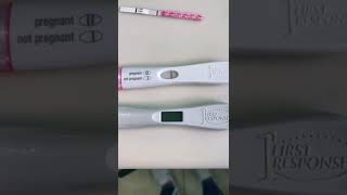 Pregnancy Test at 9 DPO BFP at 9DPO Live Pregnancy Test 9DPO First Response at 9DPO [upl. by Juni]