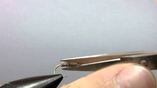 Fly Tying Dry Fly quotCDC amp Hair Caddisquot [upl. by Shirley]