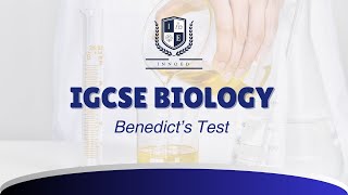 Benedicts Test Practical [upl. by Attesor]